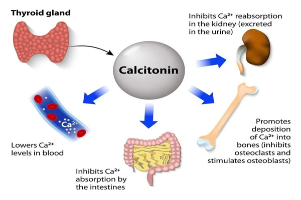 Calcium