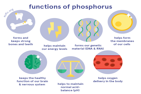 Phosphorus