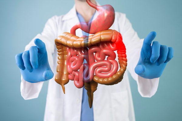 gastro_600x400
