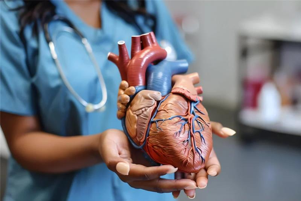 heart